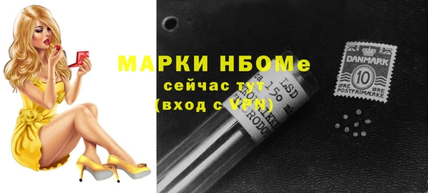 ПСИЛОЦИБИНОВЫЕ ГРИБЫ Дмитриев