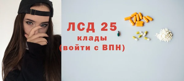 ПСИЛОЦИБИНОВЫЕ ГРИБЫ Дмитриев