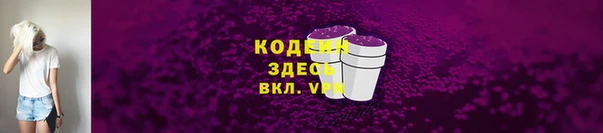 ПСИЛОЦИБИНОВЫЕ ГРИБЫ Дмитриев