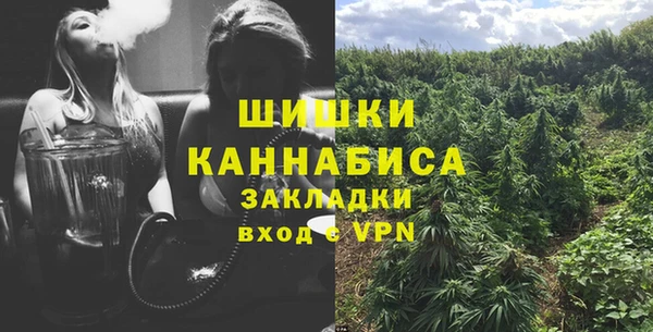 ПСИЛОЦИБИНОВЫЕ ГРИБЫ Дмитриев