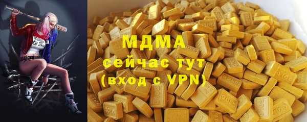 ПСИЛОЦИБИНОВЫЕ ГРИБЫ Дмитриев