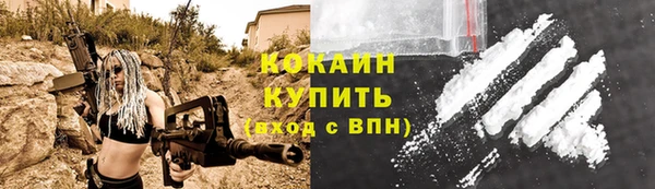 бошки Дмитровск