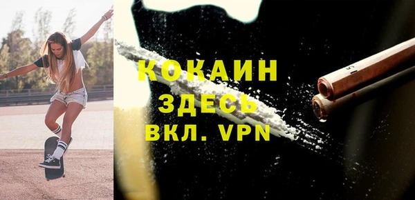 ПСИЛОЦИБИНОВЫЕ ГРИБЫ Дмитриев