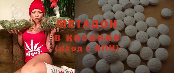 ПСИЛОЦИБИНОВЫЕ ГРИБЫ Дмитриев