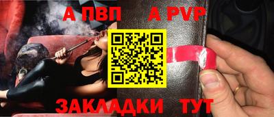 спиды Гай