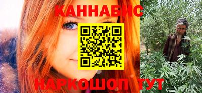 спиды Гай