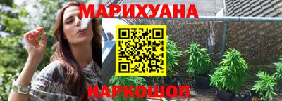 спиды Гай
