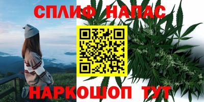 метамфетамин Гатчина
