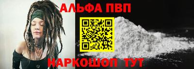 спиды Гай