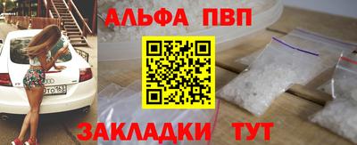 спиды Гай