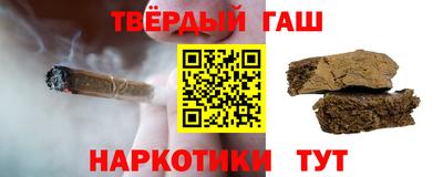 спиды Гай