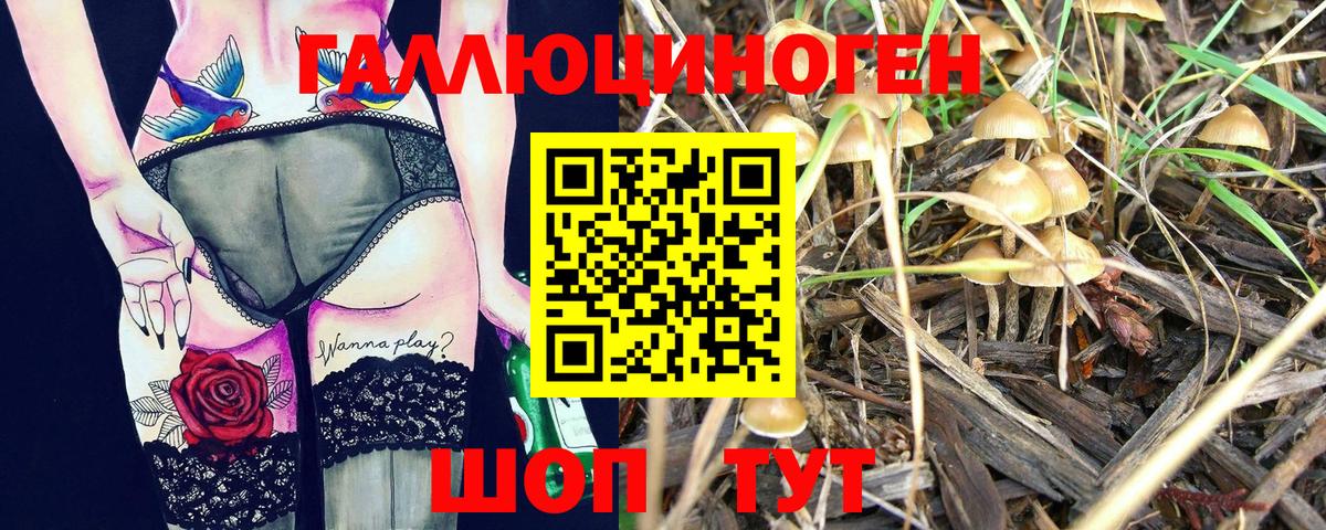 Кумертау  Галлюциногенные грибы GOLDEN TEACHER  Вход с VPN 